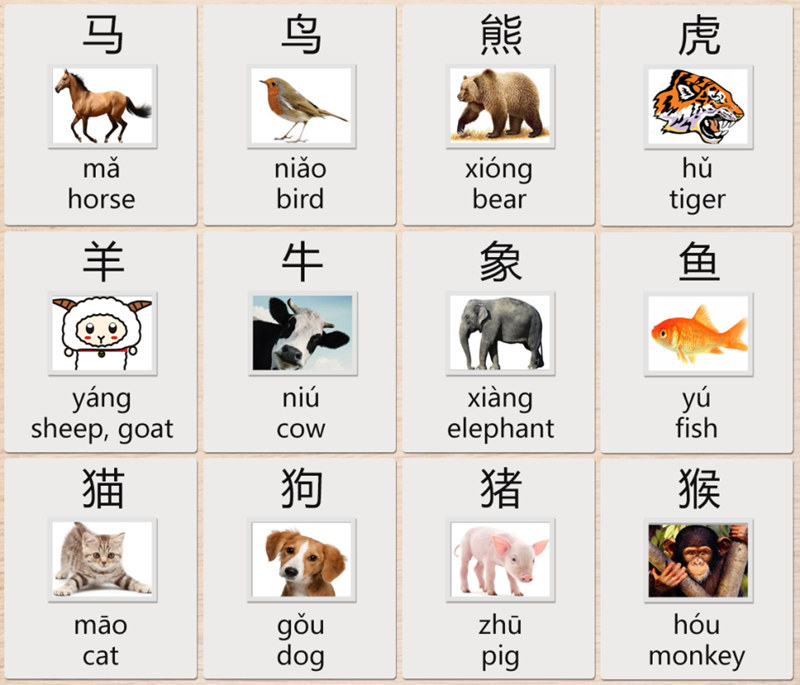 Chinese Characters for Animals